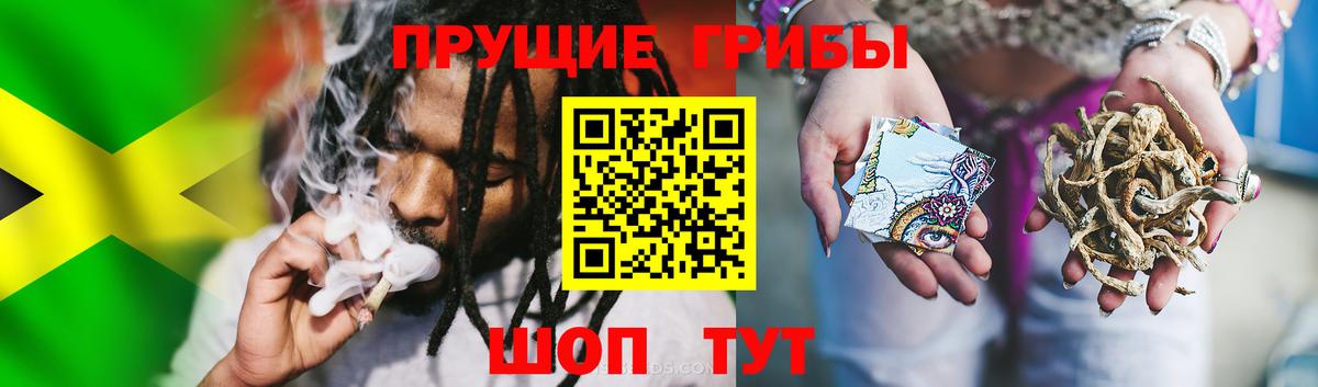 Псилоцибиновые грибы MAGIC MUSHROOMS Клинцы